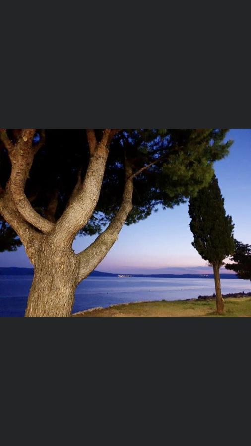 Apartments Ivancic โนวีวีโนดอลสกี ภายนอก รูปภาพ